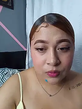 venuscopper webcam