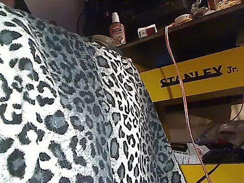 Dreamzluvz2 webcam