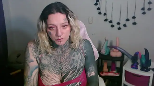 SLOPPYTITSS webcam