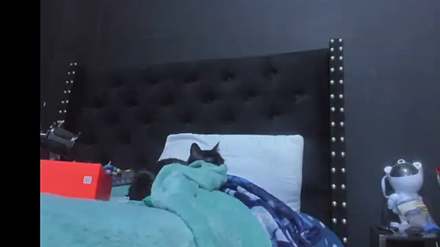 amareto_queen webcam