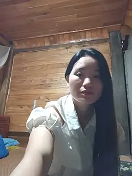 Td3di webcam