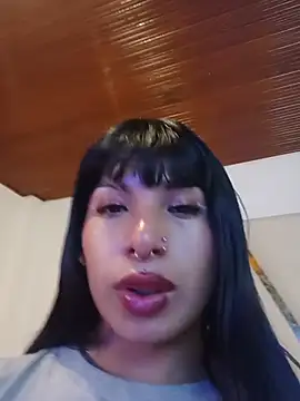 MeelFox webcam