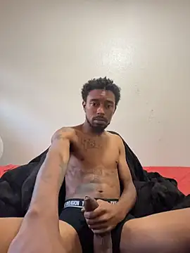 9blk webcam
