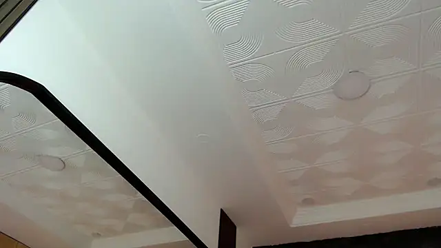 duvisex19 webcam