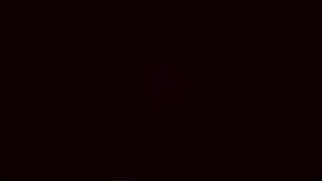 Lyricca webcam
