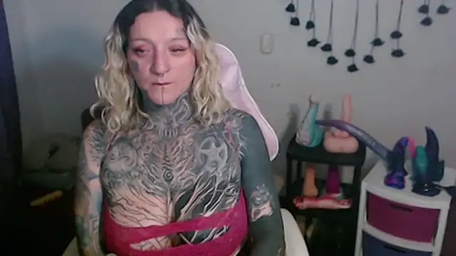 SLOPPYTITSS webcam