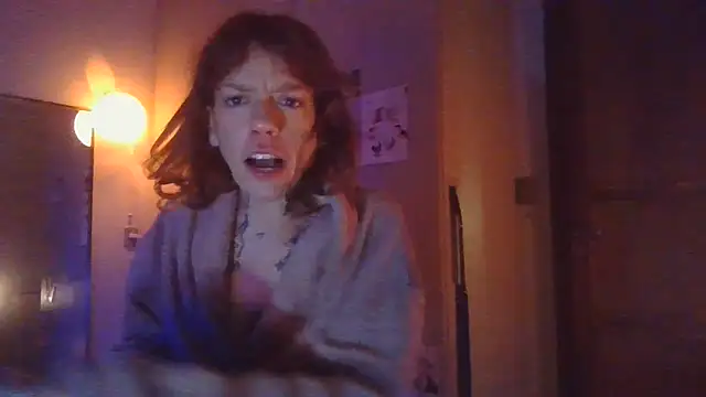 simechasi webcam
