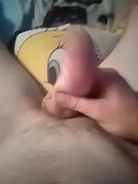 Pavlosss webcam