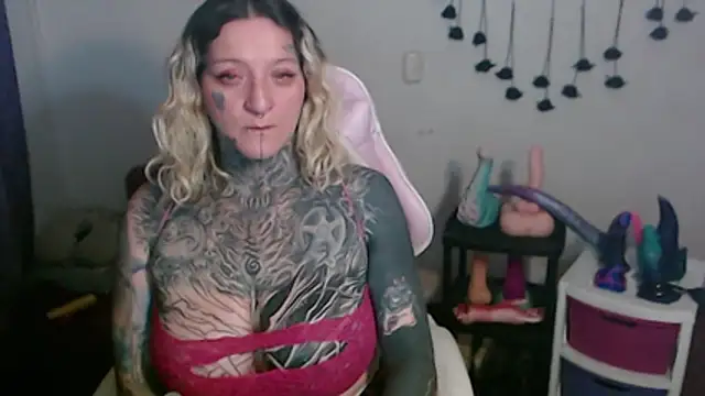SLOPPYTITSS webcam