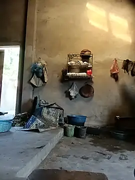 hoa-tuylip