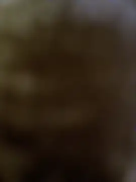DomDix webcam