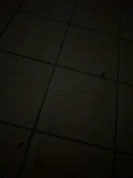 maialin69 webcam
