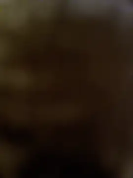 DomDix webcam