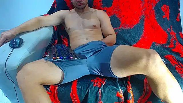 hugo_19cm webcam