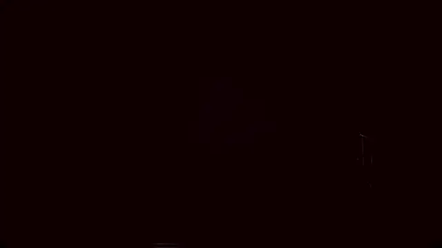 Lyricca webcam