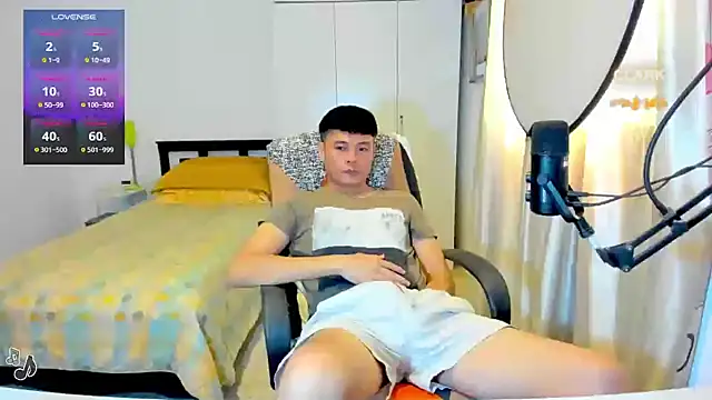 clarkdangerous webcam