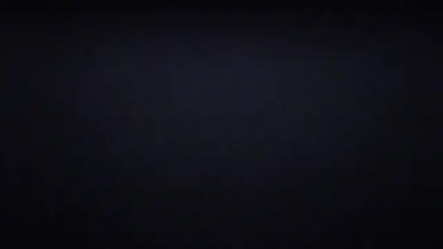 20cmloiro webcam