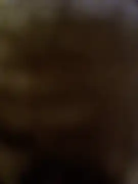 DomDix webcam