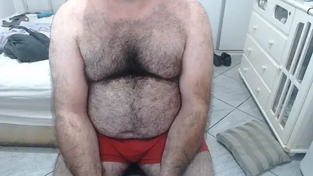 MysterBearMG webcam