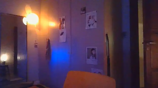 simechasi webcam