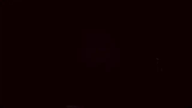 Lyricca webcam