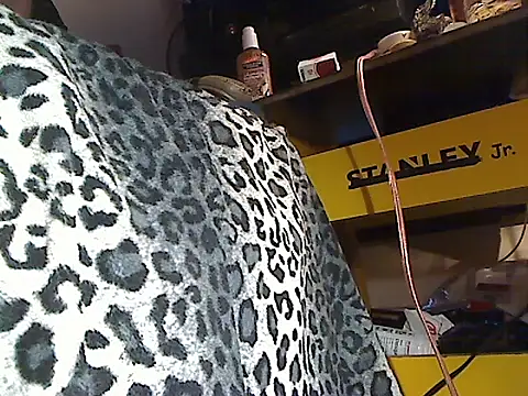 Dreamzluvz2 webcam
