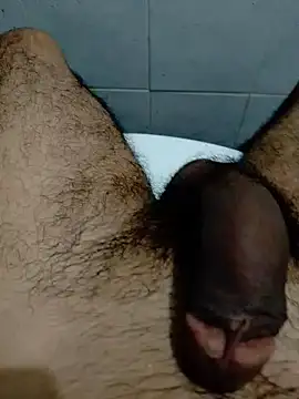 Haplis webcam