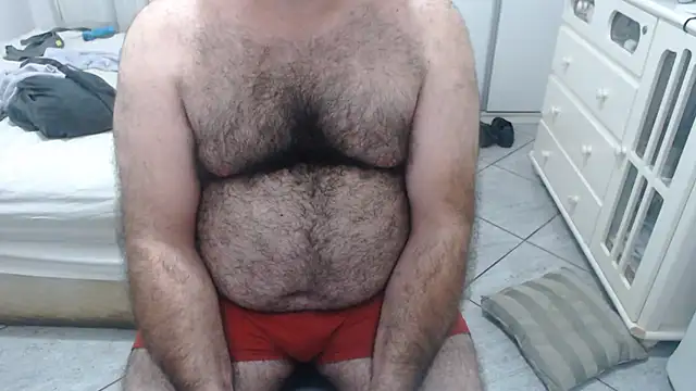 MysterBearMG webcam