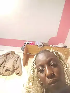 Aria_ah webcam