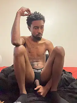 9blk webcam