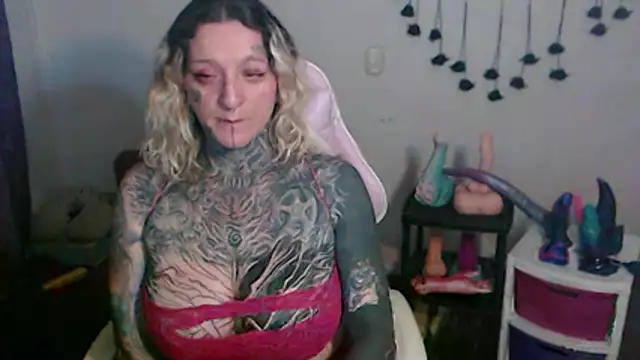 SLOPPYTITSS webcam
