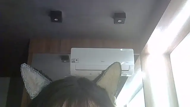 SkinnyKitten webcam
