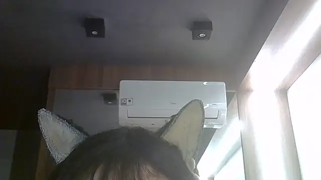 SkinnyKitten webcam