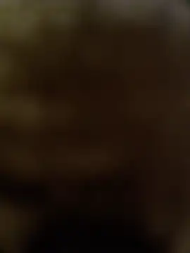 DomDix webcam