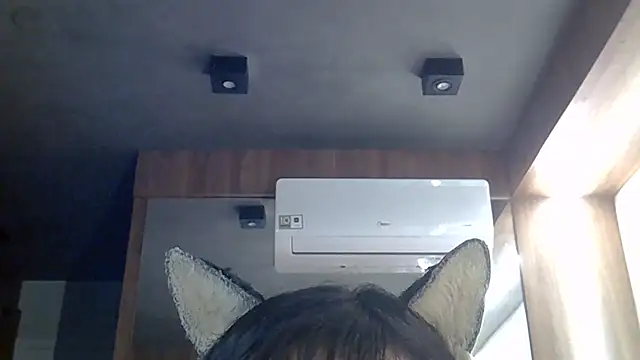 SkinnyKitten webcam