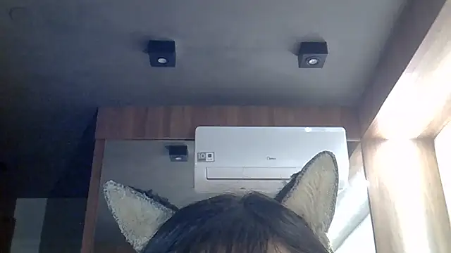 SkinnyKitten webcam