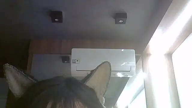 SkinnyKitten webcam