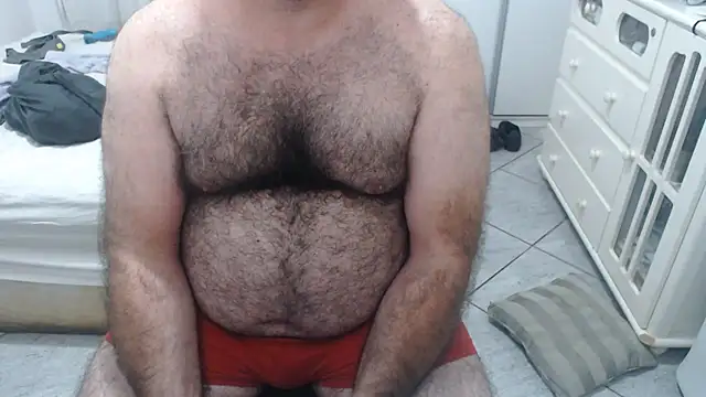 MysterBearMG webcam