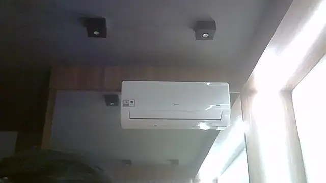 SkinnyKitten webcam