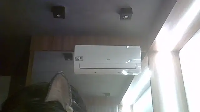 SkinnyKitten's room