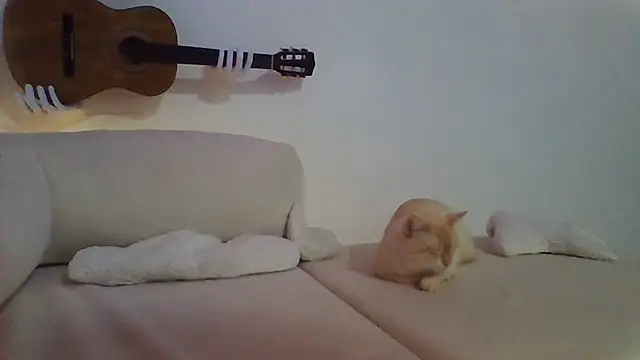 sarmidai webcam