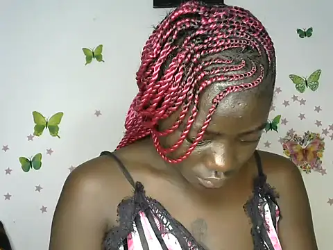 masindit webcam