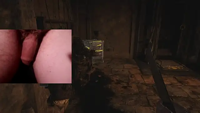 WARDOX5 webcam