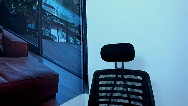 rayan_lynx webcam