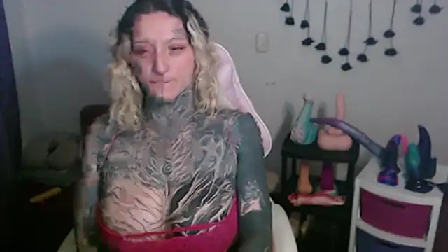SLOPPYTITSS webcam