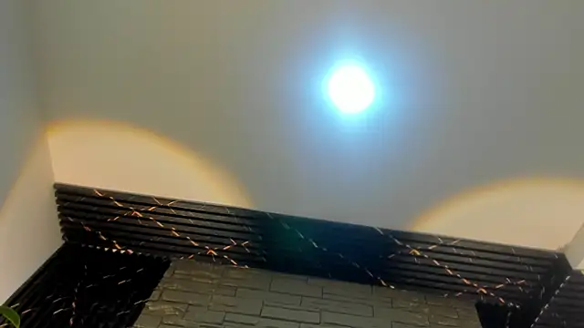 Lander_Cruz webcam