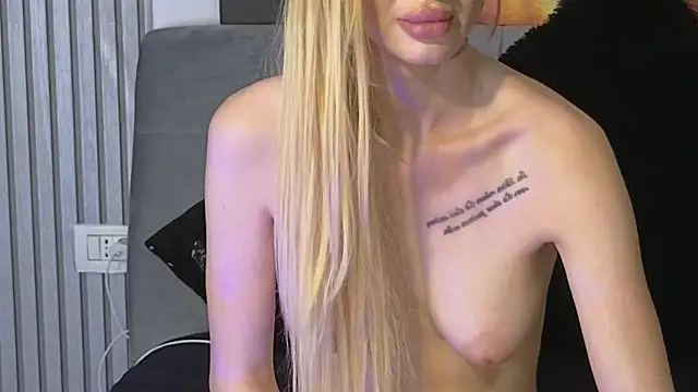KarmaArms webcam