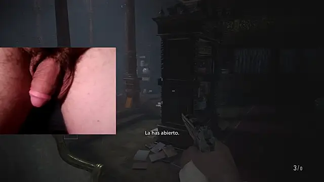 WARDOX5 webcam