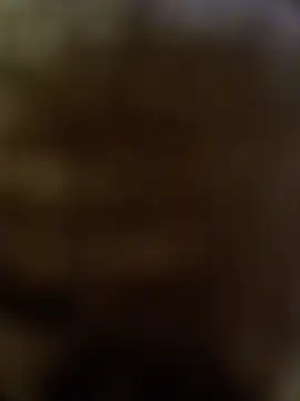 DomDix webcam