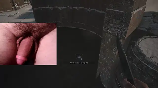 WARDOX5 webcam